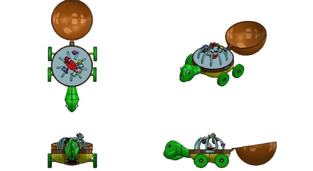 County the Counting Turtle